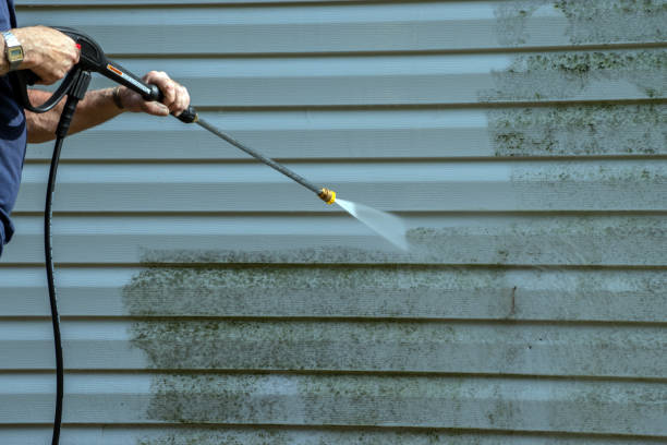 Best Solar Panel Cleaning  in Avenal, CA